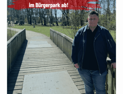 SPD, CDU, Grüne und FDP lehnen Sanierung der Brücken im Bürgerpark ab