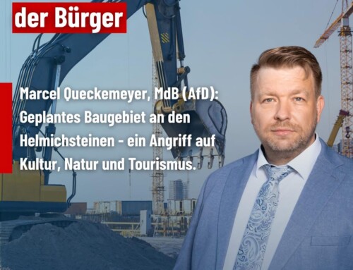 Nach Kritik am geplanten Wohnviertel – AfD auf Seite der Bürger