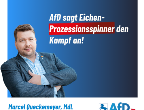 AfD sagt Eichen-Prozessionsspinner im Landkreis Osnabrück den Kampf an!