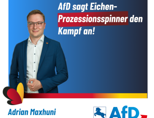 AfD sagt Eichenprozessionsspinner in Bersenbrück und Fürstenau den Kampf an